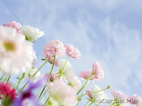 人生，一半是现实，一半是梦想 (1)