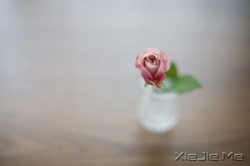 晚安心语：生活得更好，是为了自己 (8)