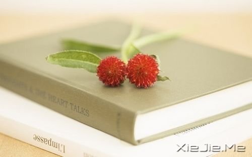 晚安心语：疼都是别人给的，但伤都是自己好的 (4)