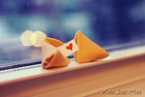 晚安心语：疼都是别人给的，但伤都是自己好的 (9)