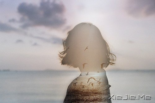 文字：只是想诉说这样短暂的小情绪 (6)