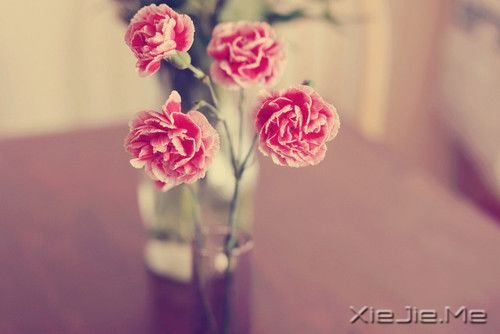 人，没有任何理由沉沦不起