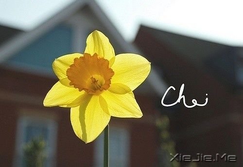微笑，春暖花开 (1)