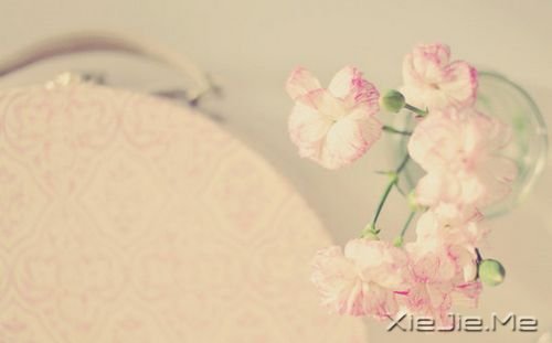 微笑，春暖花开 (2)
